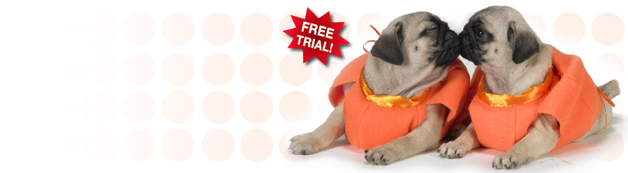 halloween ecards