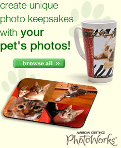 Create unique photo keepsakes with your pet's photos
