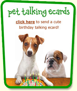 Pet Talking ecards - click here to send a cute birthday talking ecard!