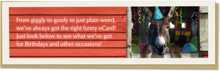 From giggly to goofy to just plain weird, we've always got the right funny ecard! Just look below to see what we've got for birthdays and other occasions!
