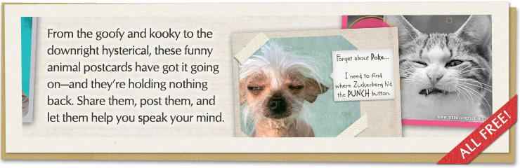 From the goofy and kooky to the downright hysterical, these funny animal postcards have got it going on-and they're holding nothing back. Share them, post them, and let them help you speak your mind.