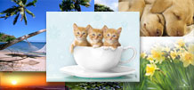 Wallpapers