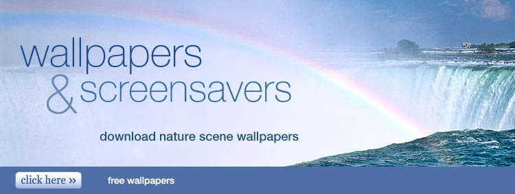 free wallpapers & free screensavers