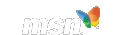 MSN Logo