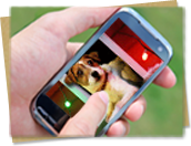 Mobile