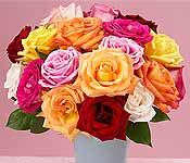 Multi-color Roses for Administrative Professional's Day