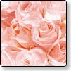 Bridal Shower Cards