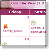 Online Calendar & Reminders programs from American greetings will help keep you organized online.
