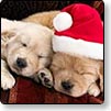 Christmas Wallpapers