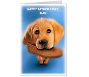 Father's Day Cards