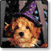 Halloween Wallpaper
