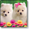 Customizable Mother's Day ecard