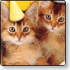Pet ecards