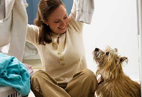 Pets