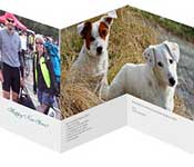 High-Quality Photo Cards
