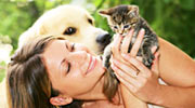 Rescue a Pet