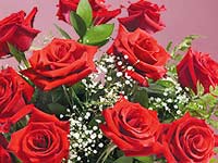 Anniversary Flowers