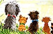 Pet eCards