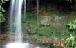 Nature Screensavers