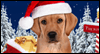 Santa Puppy