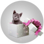 Adorable Surprise Virtual Gift