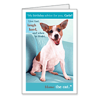 Birthday Advice Printable Funny Birthday Cards for Anyone