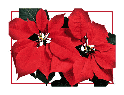 Warm Wishes Printable Card
