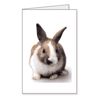 To Somebunny Terrific Printable Easter Cards for Kids