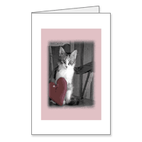 Be Mine? Printable Valentines Day Cards for Anyone