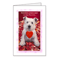 Someone Special Printable Valentines Day Cards for Kids