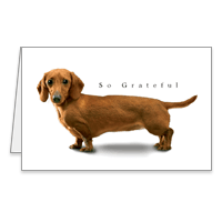 Long on Gratitude Printable Thank You Cards