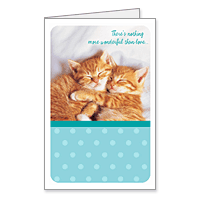 Cuddly Anniversary Wishes Printable Anniversary Cards for Couples