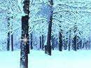 Wishing You Blessings Season's Greetings eCards