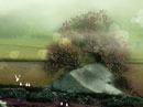 A Wish for You St. Patrick's Day eCards
