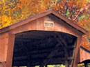 Bridging the Distance Thanksgiving eCards