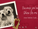 You're a Wonderful Friend Valentine's Day eCards