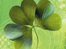 Health, Luck, Happiness St. Patrick's Day eCards