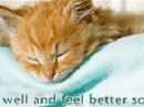 Wishes for You Get Well eCards