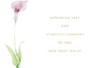 In Sympathy Sympathy eCards