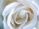 God, the Best Maker of Marriages Wedding eCards