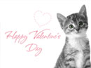 My Beautiful Daughter Valentine's Day eCards