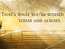 Have a Day That's Just Right Have a Nice Day eCards