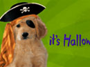 Pirate Puppy Halloween eCards