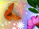 The Gift of Your Friendship<br> (+ wallpaper) Anytime eCards