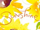Sunshine<br>Kathy Davis Thank You eCards