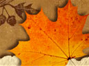 Thanksgiving Joy Thanksgiving eCards