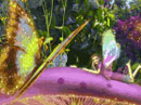 Birthday Fairy Finder Birthday eCards
