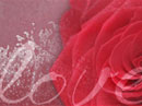 A Rose and A Poem Birthday eCards