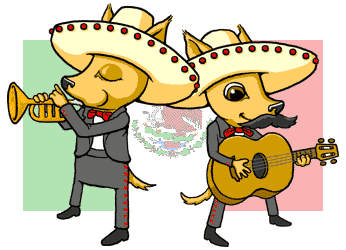 Mariachi chihuahuas