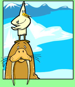 Walrus and Sea bird